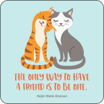 Kindness Lunch Box Notes for Kids Set of 60 Cards by Peter Pauper Press 2