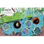 See Inside the Microscopic World by Usborne 2