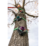 Slackers Peg Climbers by b4Adventure 6