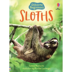 Sloths Usborne Beginners by Usborne