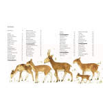 The Atlas of Migrating Plants and Animals by Chronicle Books 1