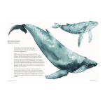 The Atlas of Migrating Plants and Animals by Chronicle Books 10