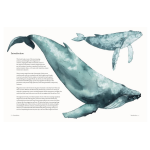 The Atlas of Migrating Plants and Animals by Chronicle Books 2