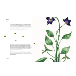 The Atlas of Migrating Plants and Animals by Chronicle Books 5