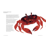 The Atlas of Migrating Plants and Animals by Chronicle Books 7