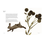 The Atlas of Migrating Plants and Animals by Chronicle Books 8
