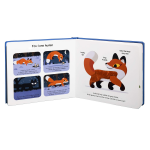 Touch and Explore Animals at Night by Chronicle Books 3
