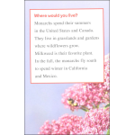 I Can Read Leve1 Ranger Rick I Wish I Was a Monarch Butterfly by Harper Collins 2