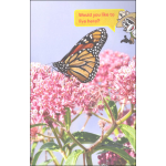 I Can Read Leve1 Ranger Rick I Wish I Was a Monarch Butterfly by Harper Collins 3