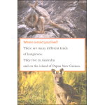 I Can Read Level 1 Ranger Rick I Wish I Was a Kangaroo by Harper Collins 3
