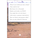 I Can Read Level 1 Ranger Rick I Wish I Was a Llama by Harper Collins 2