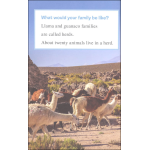 I Can Read Level 1 Ranger Rick I Wish I Was a Llama by Harper Collins 4