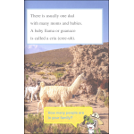 I Can Read Level 1 Ranger Rick I Wish I Was a Llama by Harper Collins 5