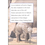 I Can Read Level 1 Ranger Rick I Wish I Was an Elephant by Harper Collins 3