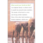I Can Read Level 1 Ranger Rick I Wish I Was an Elephant by Harper Collins 4
