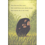 I Can Read Level 2 Jane Goodall Champion of Chimpanzees by Harper Collins 5