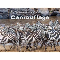 Camouflage Science for Toddlers by Sterling Publishing