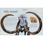 Dinosaurs and Other Prehistoric Life by Dorling Kindersley 1