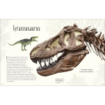 Dinosaurs and Other Prehistoric Life by Dorling Kindersley 2