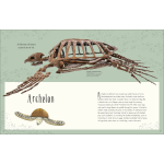 Dinosaurs and Other Prehistoric Life by Dorling Kindersley 3