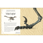 Dinosaurs and Other Prehistoric Life by Dorling Kindersley 4
