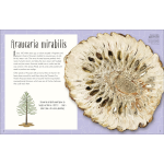 Dinosaurs and Other Prehistoric Life by Dorling Kindersley 5