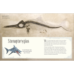 Dinosaurs and Other Prehistoric Life by Dorling Kindersley 6