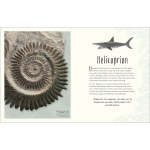 Dinosaurs and Other Prehistoric Life by Dorling Kindersley 8