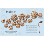 Dinosaurs and Other Prehistoric Life by Dorling Kindersley 9
