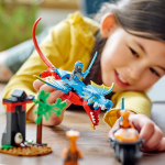 NInjago Ninja Dragon Temple by Lego 3