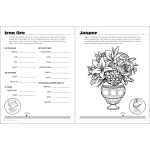Rocks Minerals Activity Book by Adventure Keen 4