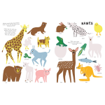 The New Baby Revised Edition An activity book for soon to be big brothers and sisters by Ingram 1