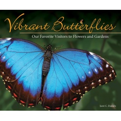 Vibrant Butterflies Our Favorite Visitors to Flowers and Gardens by Adventure Keen
