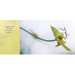 Wait and See by Random House 1