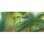 Wait and See by Random House 2