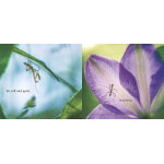 Wait and See by Random House 3