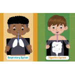 Jumbo Stickers for Little Hands Human Body by Quarto Publishing 1