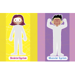 Jumbo Stickers for Little Hands Human Body by Quarto Publishing 3