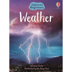 Beginners Weather Usborne Beginners by Usborne
