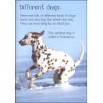 Dogs Usborne Beginners by Usborne 4