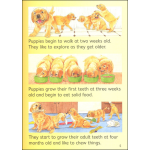 Dogs Usborne Beginners by Usborne 6