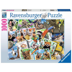 A Traveler's Animal Journal 1000pc Puzzle-by-Ravensburger