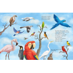 All the Birds in the World - Image 2