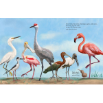 All the Birds in the World - Image 4