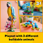 Creator 3 in 1 Exotic Parrot - Image 2