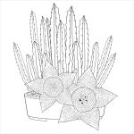 Succulents Adult Coloring Book - Image 4