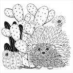 Succulents Adult Coloring Book - Image 5