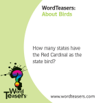 WordTeasers: About Birds - Image 2