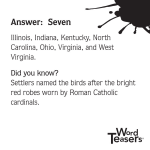 WordTeasers: About Birds - Image 3