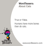 WordTeasers: About Cats - Image 3
